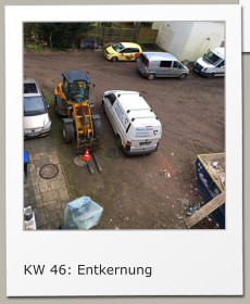 KW 46: Entkernung