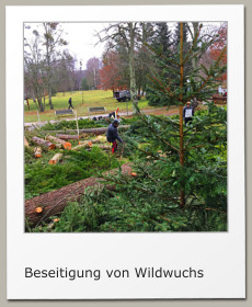 Beseitigung von Wildwuchs