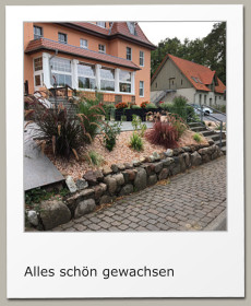 Alles schön gewachsen